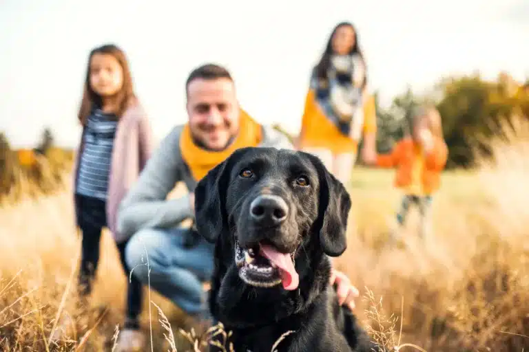 Nevada Benefits Health Insurance Family dogs - Individual & Family Health Insurance